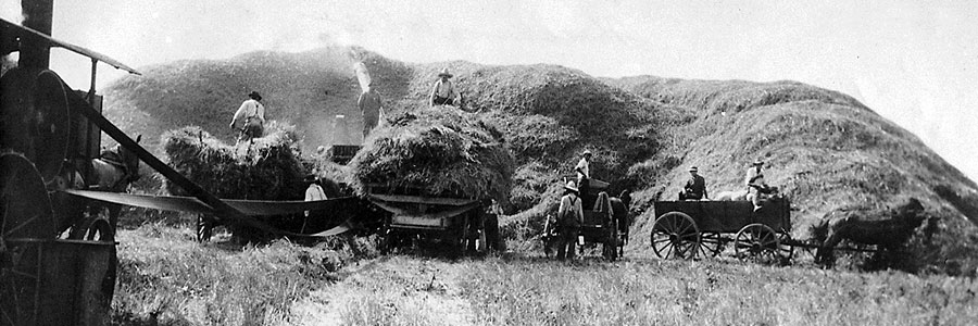 Generation1 Wagon Threshing Vocational First Generation - Wagon - Threshing - Vocational