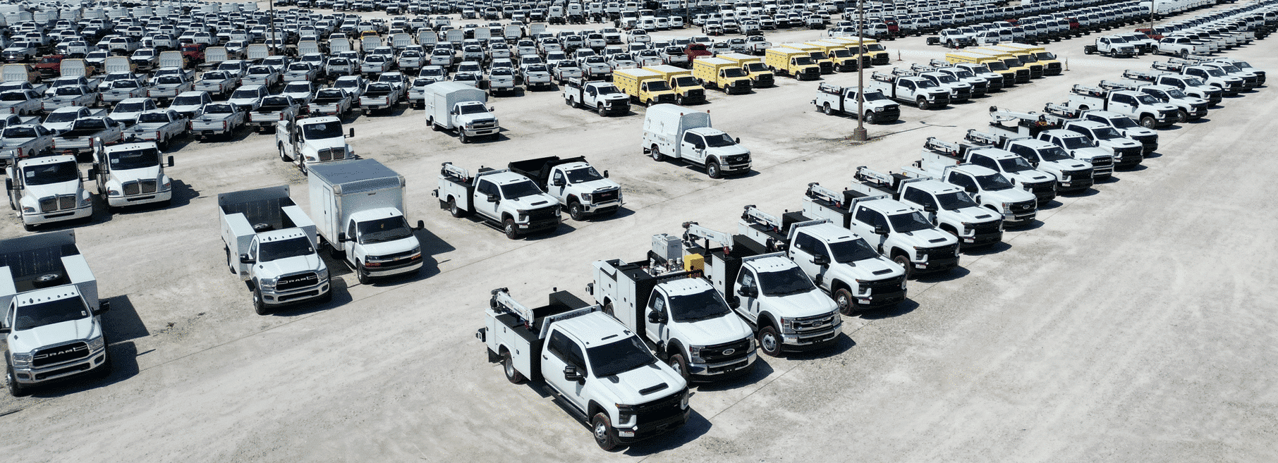 Dealer Lot